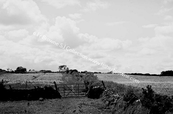 NEPHIN VIEWS PASTORAL SCENE